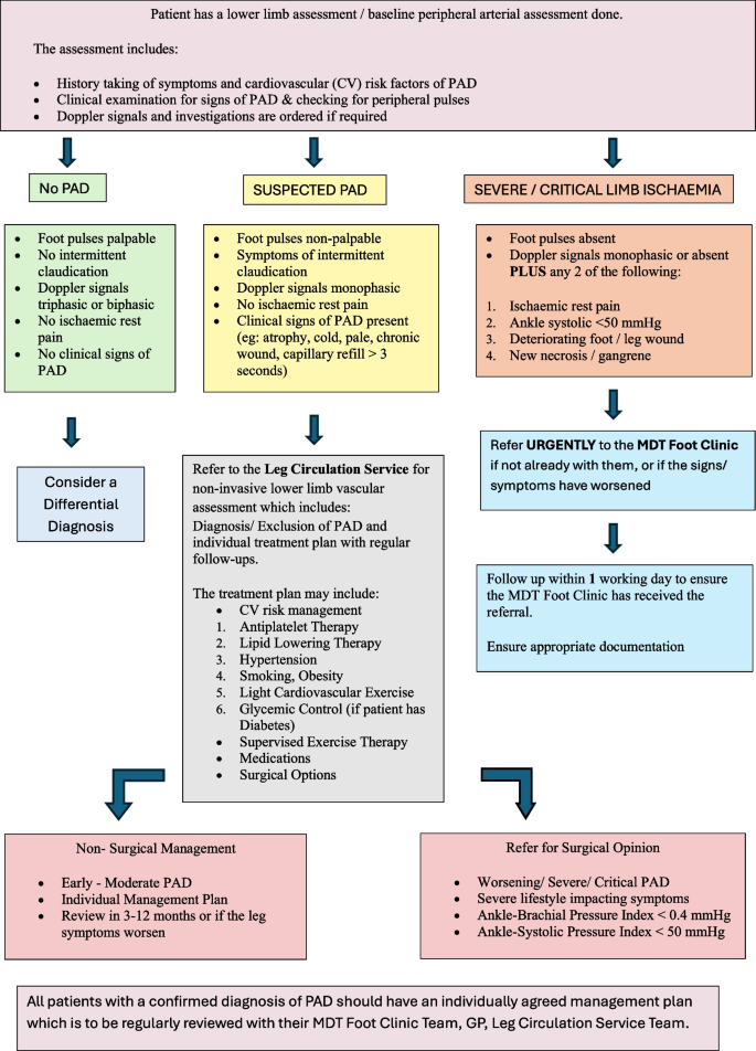 The multidisciplinary approach in management of critical limb ischaemia ...