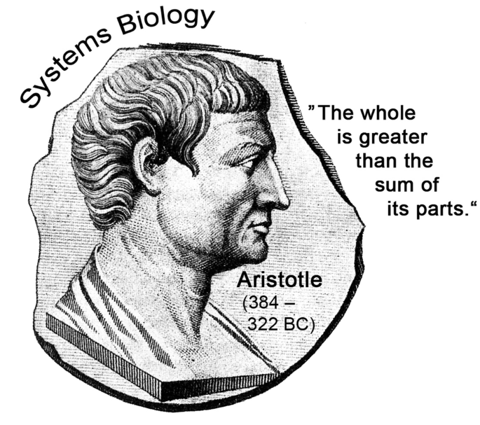Systems Biology Of Eukaryotic Superorganisms And The Holobiont Concept Springerlink