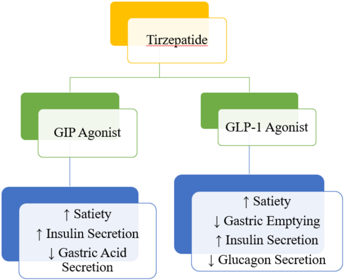 tirzepatide mounjaro dosage chart Tirzepatide Dosage Chart for Weight Loss (Units & Schedule)