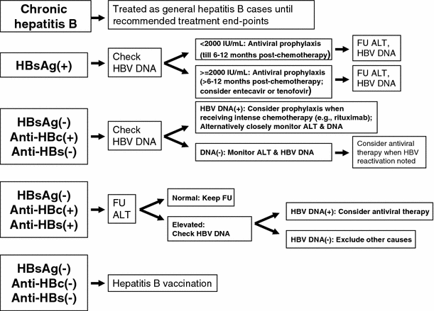 Hepatitis B Virus Reactivation In Patients Receiving Cancer Chemotherapy Natural History Pathogenesis And Management Springerlink Hepatitis B Virus Reactivation In Patients Receiving Cancer Chemotherapy Natural History Pathogenesis And Management Springerlink