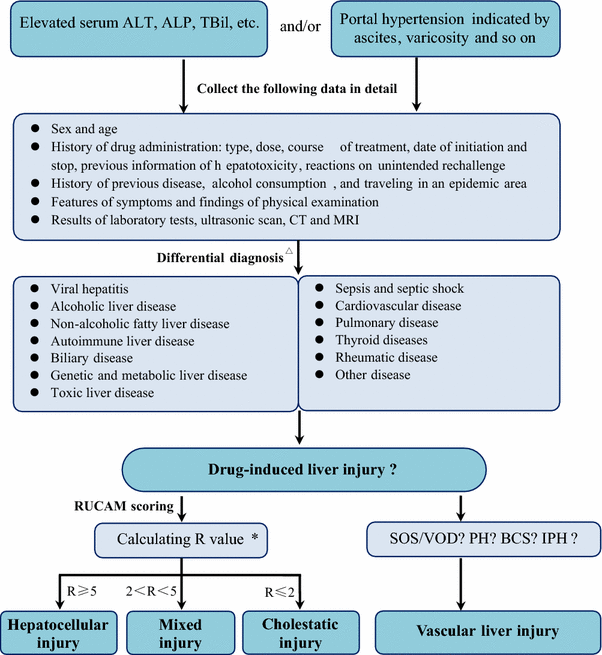 CSH guidelines for the diagnosis and treatment of drug-induced ...