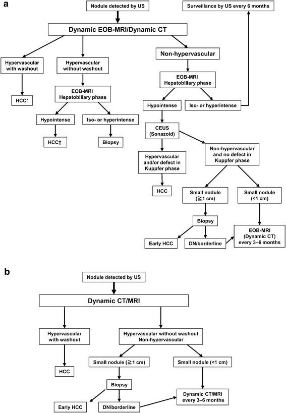 Asia Pacific Clinical Practice Guidelines On The Management Of Hepatocellular Carcinoma A 17 Update Springerlink