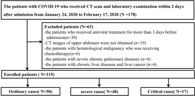 Liver Injury In Patients With Covid 19 Clinical Profiles Ct Findings The Correlation Of The Severity With Liver Injury Springerlink