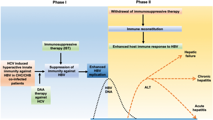 APASL clinical practice guideline on hepatitis B reactivation 