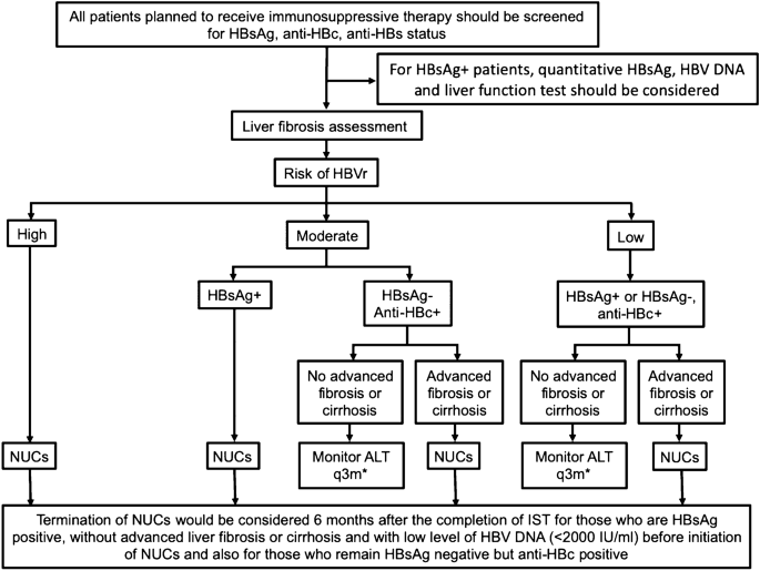 APASL clinical practice guideline on hepatitis B reactivation 