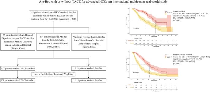Efficacy and safety of atezolizumab and bevacizumab with or without ...