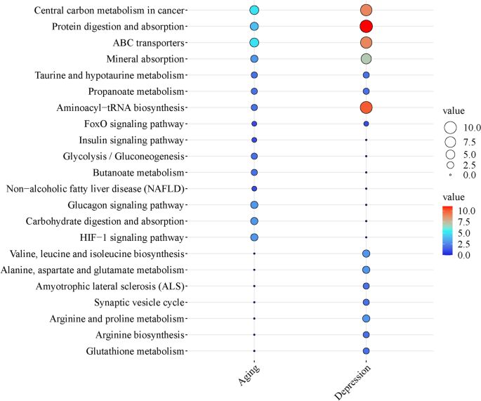 Microbiome-Metabolomics Reveals the Bidirectional Associations Between  Aging and Depression | Indian Journal of Microbiology | Springer Nature Link