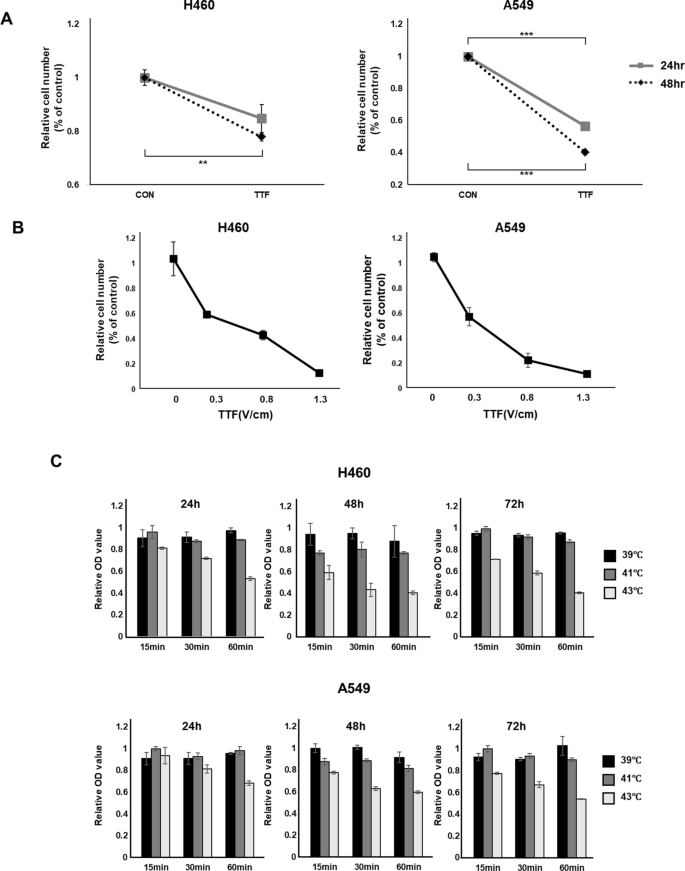 Synergistic effects of combined hyperthermia and electric fields
