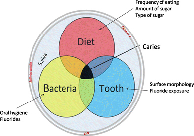 Dental Caries A Disease Which Needs Attention Springerlink