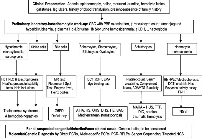 Laboratory Approach To Hemolytic Anemia Springerlink