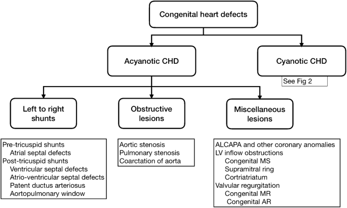 Timing Of Interventions In Infants And Children With Congenital Heart Defects Springerlink