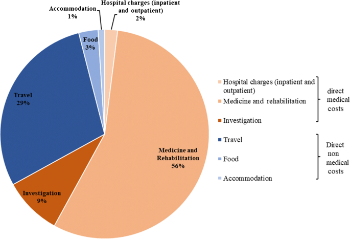 Financial Burden In Families Of Children With West Syndrome Springerlink