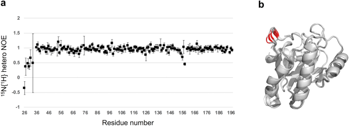 cjc-1295 ipamorelin peptide stack Peptide Stacking 101: Safely Combine Peptides and GLP-1s