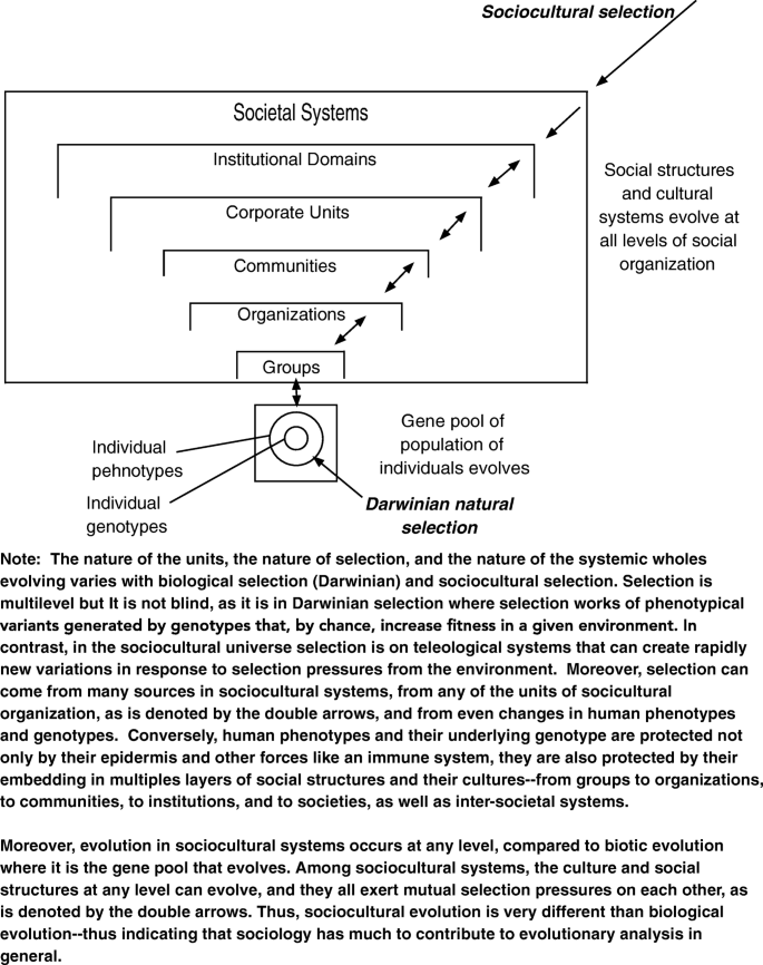 PDF) Biological maturation influences selection process in youth