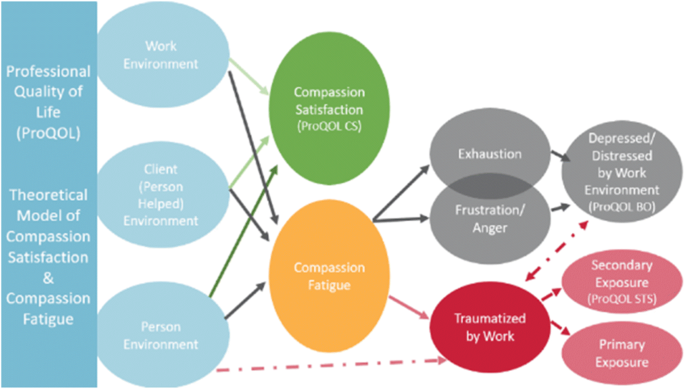 A comprehensive review of compassion fatigue in pre-licensure health  students: antecedents, attributes, and consequences | SpringerLink