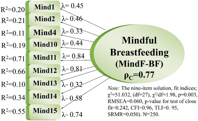 Development And Psychometric Testing Of The Mindful Breastfeeding Scale Mindf Bfs Among Postpartum Women In Turkey Springerlink Development And Psychometric Testing Of The Mindful Breastfeeding Scale Mindf Bfs Among Postpartum Women In Turkey Springerlink