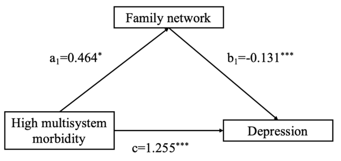 Does social support mediate the effect of multimorbidity on mental