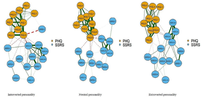 Network analysis model investigating the relationship between social ...