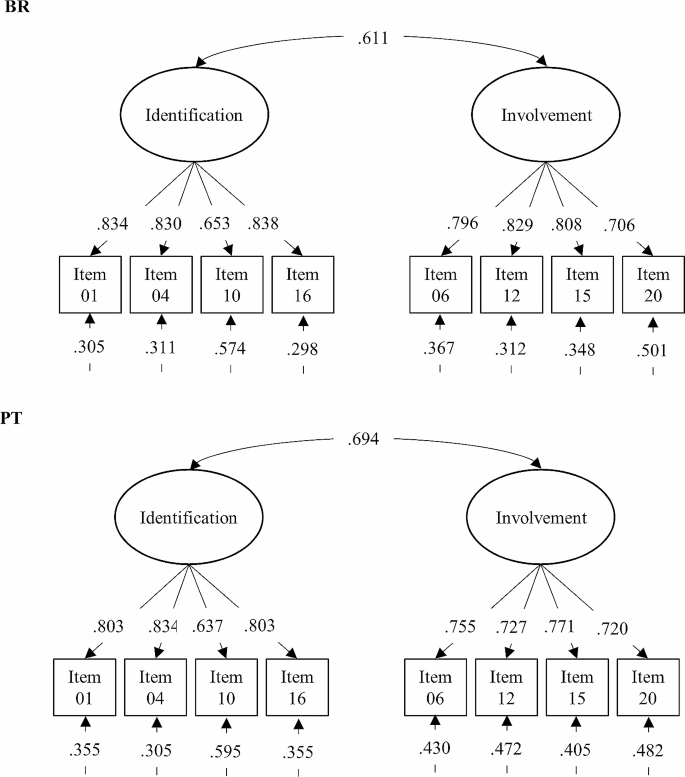 Life Project Scale: a new measure to assess the coherence of the ...
