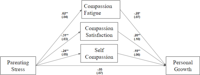 Mothers’ parenting stress and personal growth: the role of maternal ...