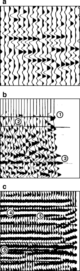 Converting Scanned Images Of Seismic Reflection Data Into Seg Y Format Springerlink