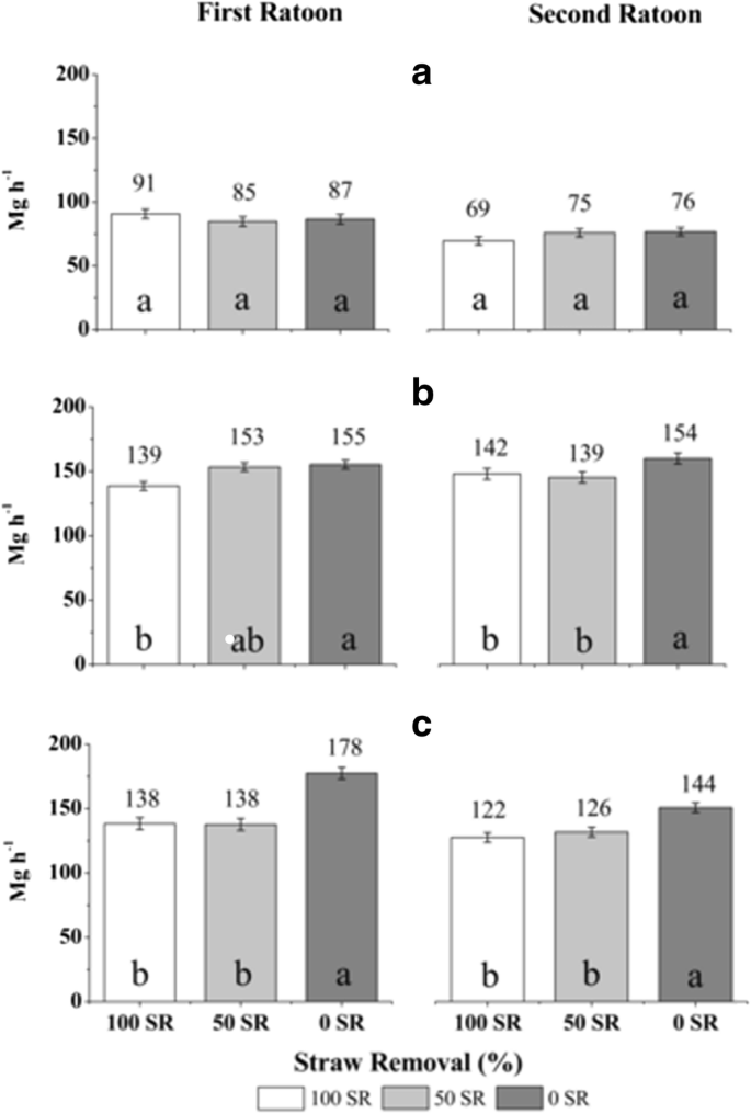 Straw Removal Effects On Soil Water Dynamics Soil Temperature And Sugarcane Yield In South Central Brazil Springerlink