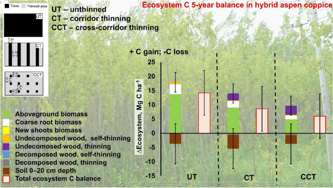 Coppice Method Roots Ecosystem Carbon and Nutrient Balances in Short-Rotation Hybrid Aspen ...