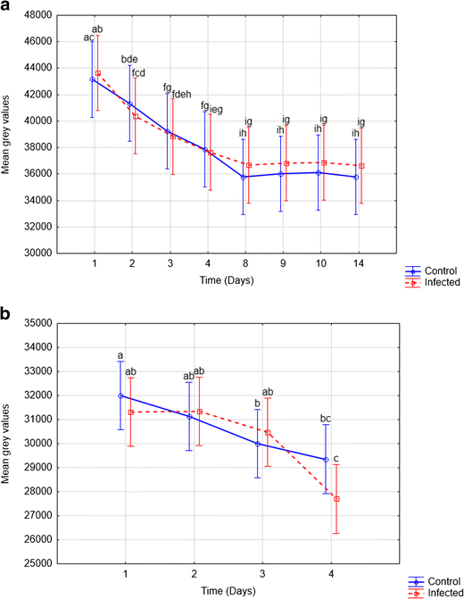 Use Of High Resolution X Ray Micro Computed Tomography For The Analysis Of Internal Structural Changes In Maize Infected With Fusarium Verticillioides Springerlink