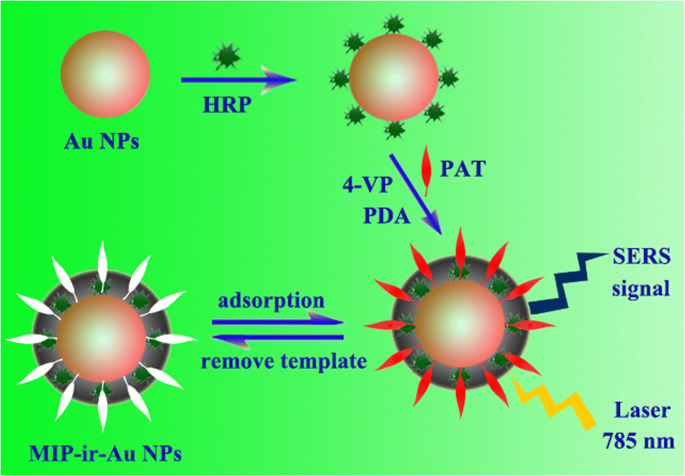 Surface Imprinted Gold Nanoparticle Based Surface Enhanced Raman Scattering For Sensitive And Specific Detection Of Patulin In Food Samples Springerlink