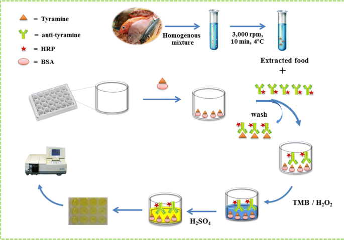 A Competitive Colorimetric Immunosensor For Detection Of Tyramine In Fish Samples Springerlink