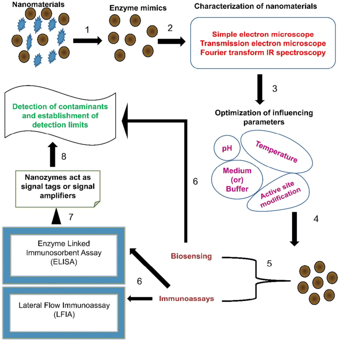 Immobilized acetylcholinesterase in magnetic nanoparticles for in-line  inhibition studies using a capillary electrophoresis system - ScienceDirect