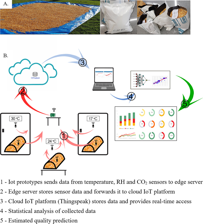 Real‐time equilibrium moisture content monitoring to predict grain