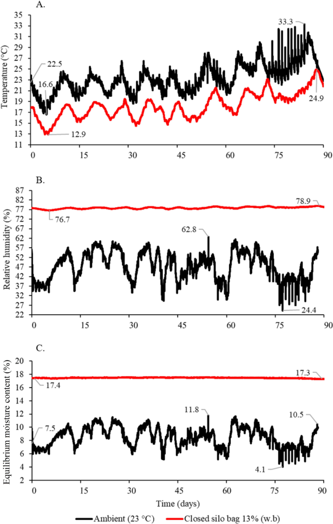 Real‐time equilibrium moisture content monitoring to predict grain