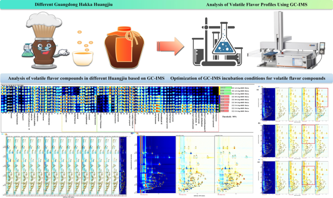 Comparative Analysis of Volatile Flavor Profiles in Different Guangdong ...