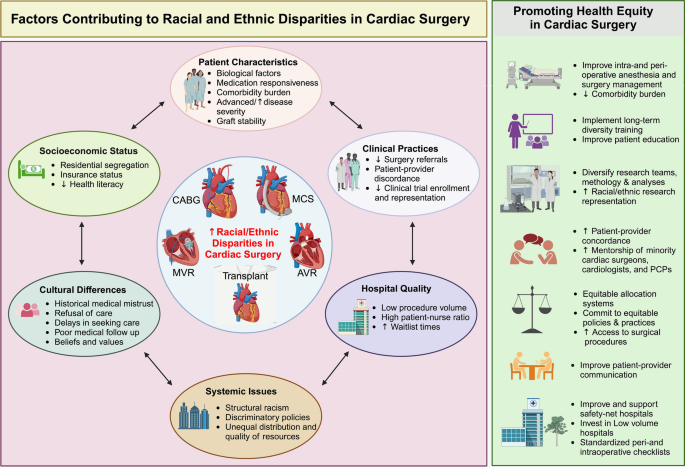 Racial and Ethnic Disparities in Peri-and Post-operative Cardiac ...