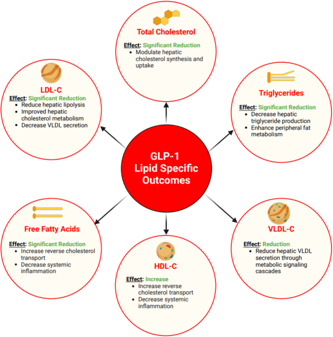 glp 1 drugs type 1 diabetes New guidance on the use of GLP-1-based drugs in people with type 1 diabetes  (T1D), due to be published later this year, will address the safety and  optimal use of these medications