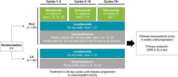 Elotuzumab plus lenalidomide and dexamethasone for newly diagnosed multiple  myeloma: a randomized, open-label, phase 2 study in Japan | SpringerLink
