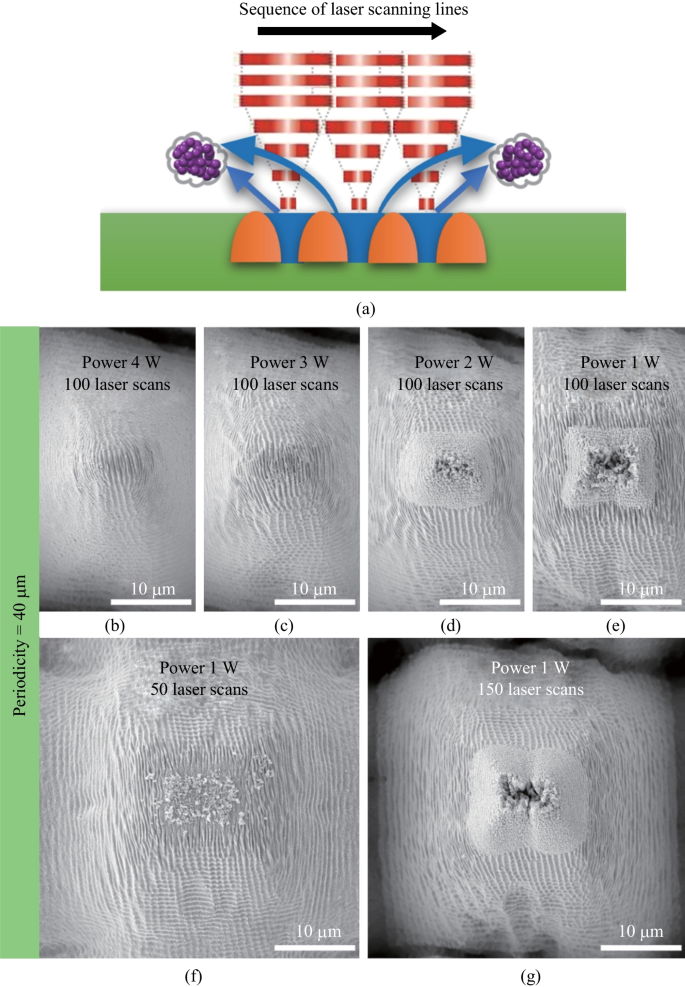 Advanced laser scanning for highly-efficient ablation and ultrafast surface  structuring: experiment and model