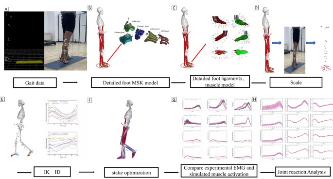 Gait Analysis of Individuals with Chronic Ankle Instability Using a ...