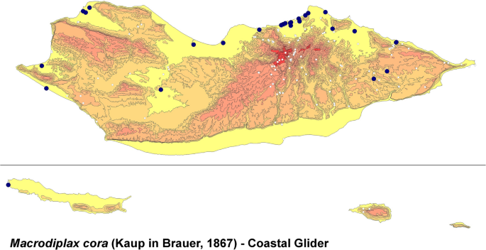 figure 17