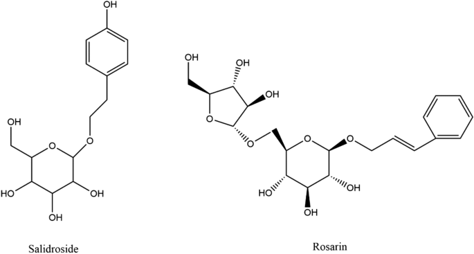Rhodiola rosea: main features and its beneficial properties | Rendiconti  Lincei. Scienze Fisiche e Naturali