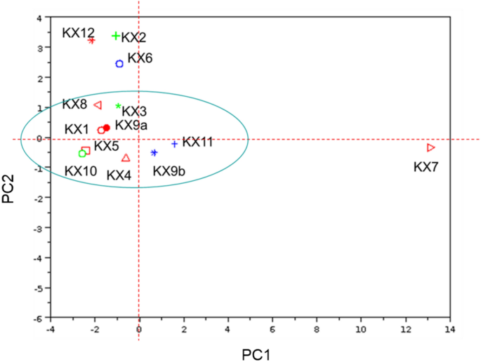 Fig. 11