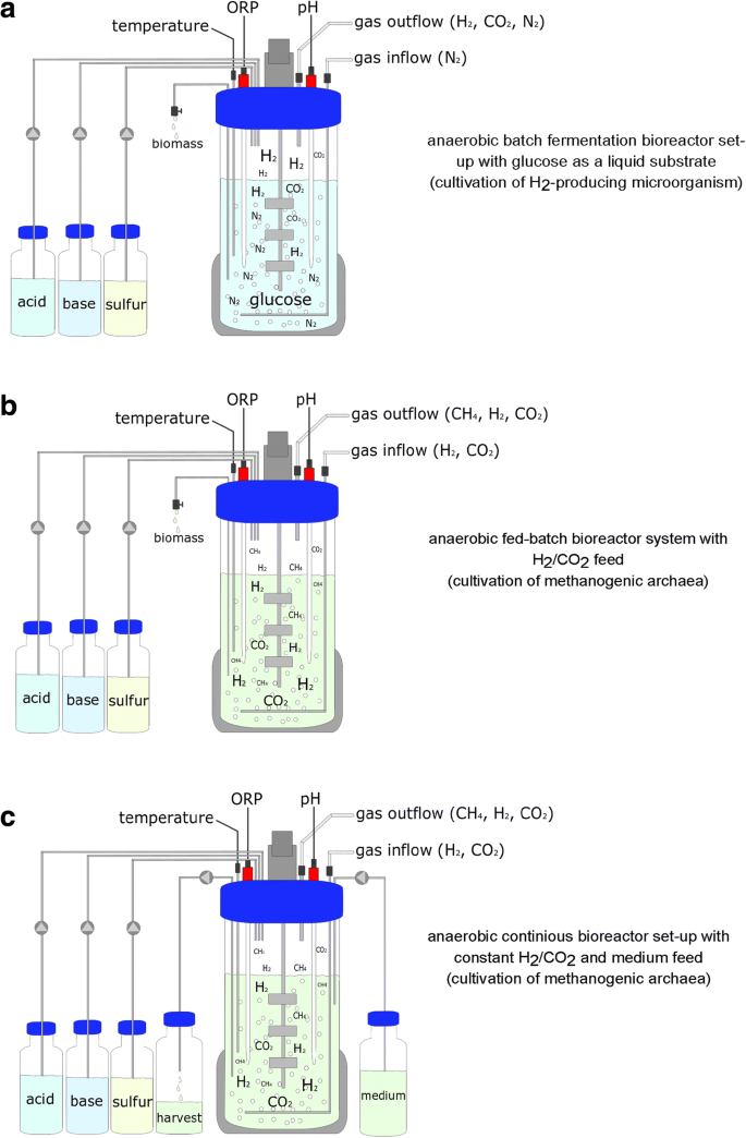 Methods For Quantification Of Growth And Productivity In Anaerobic Microbiology And Biotechnology Springerlink