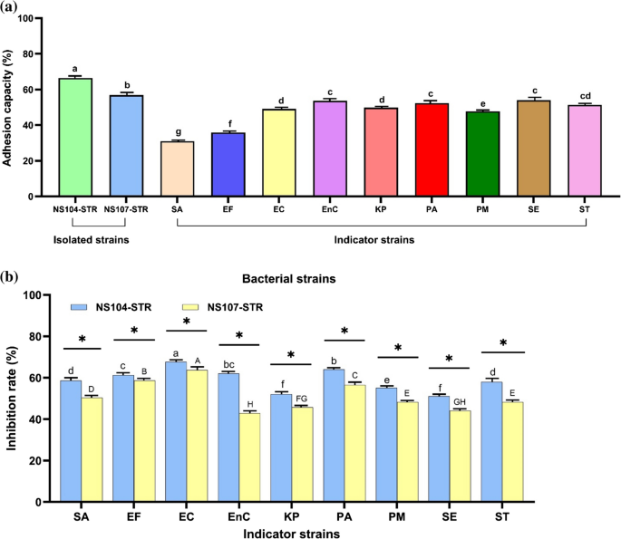 Probiotic potential and phytase-producing capacity of yeast isolated ...
