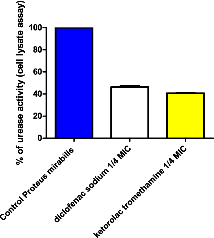The anti-inflammatory drugs diclofenac and ketorolac inhibit urease ...