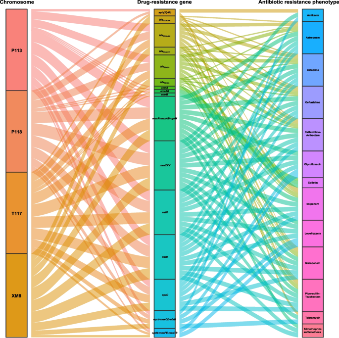 Genomic characterization of high-level efflux pump overexpression in ...
