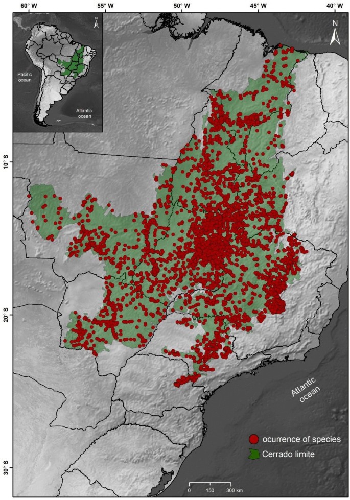 The bulk of a plant hotspot: composition, species richness and ...