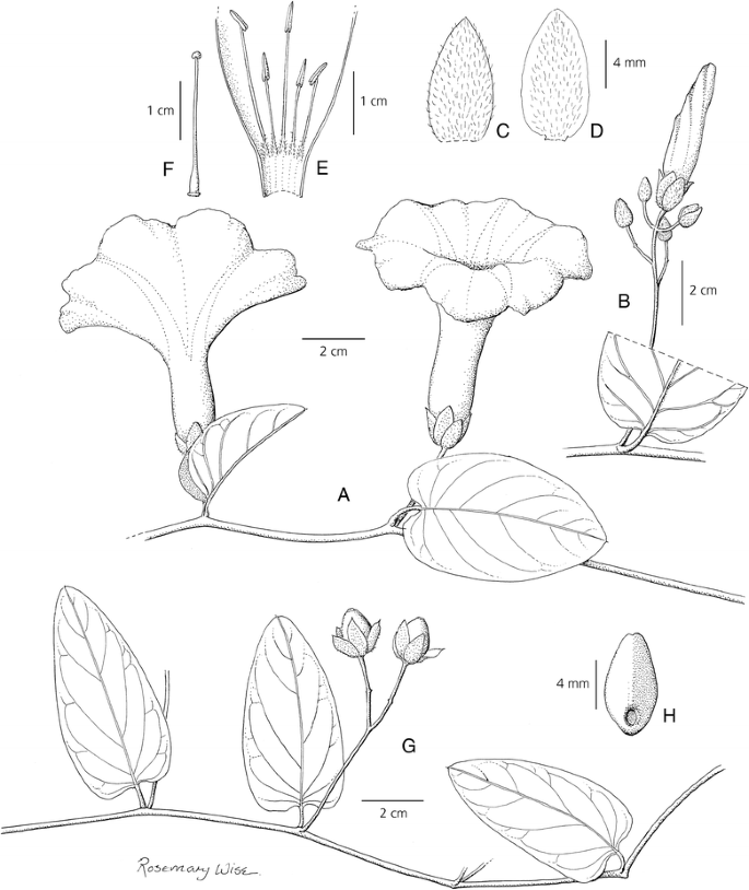 figure 22