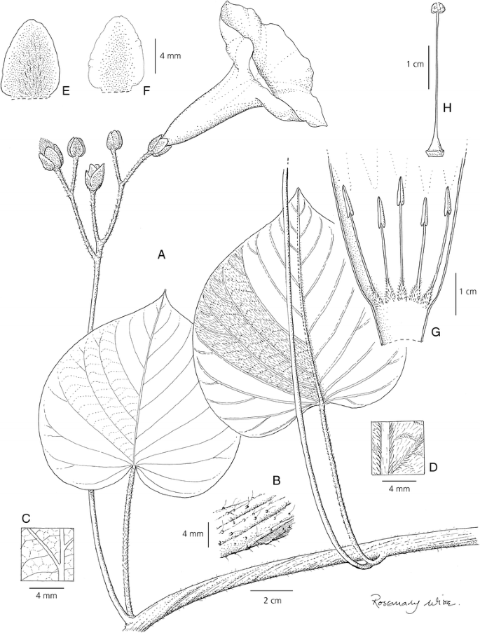 figure 27