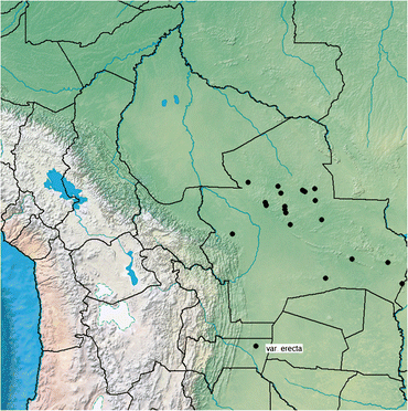 figure 38